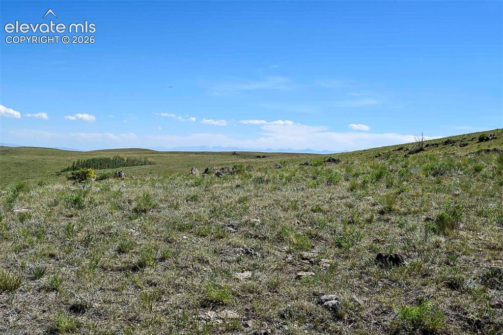 0 Bear Cat Road Guffey, CO 80820 - Photo 29 of 40