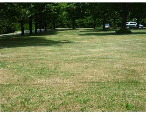 1313 Sugar Hollow Road Apollo, PA 15613 - Photo 4 of 13 Yard/Garden.