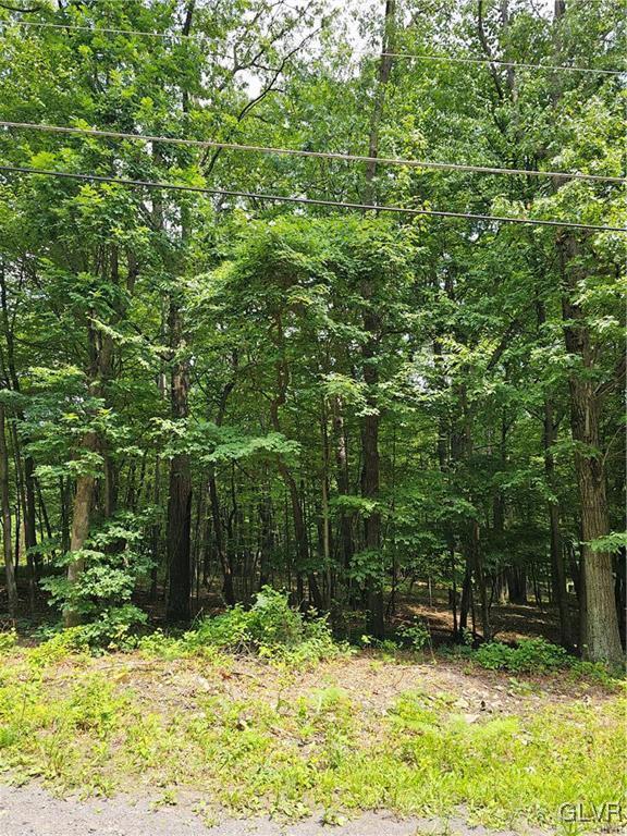 Dowbush Road Lehighton, PA 18235 - Photo 2 of 2 a view of a yard with plants and trees