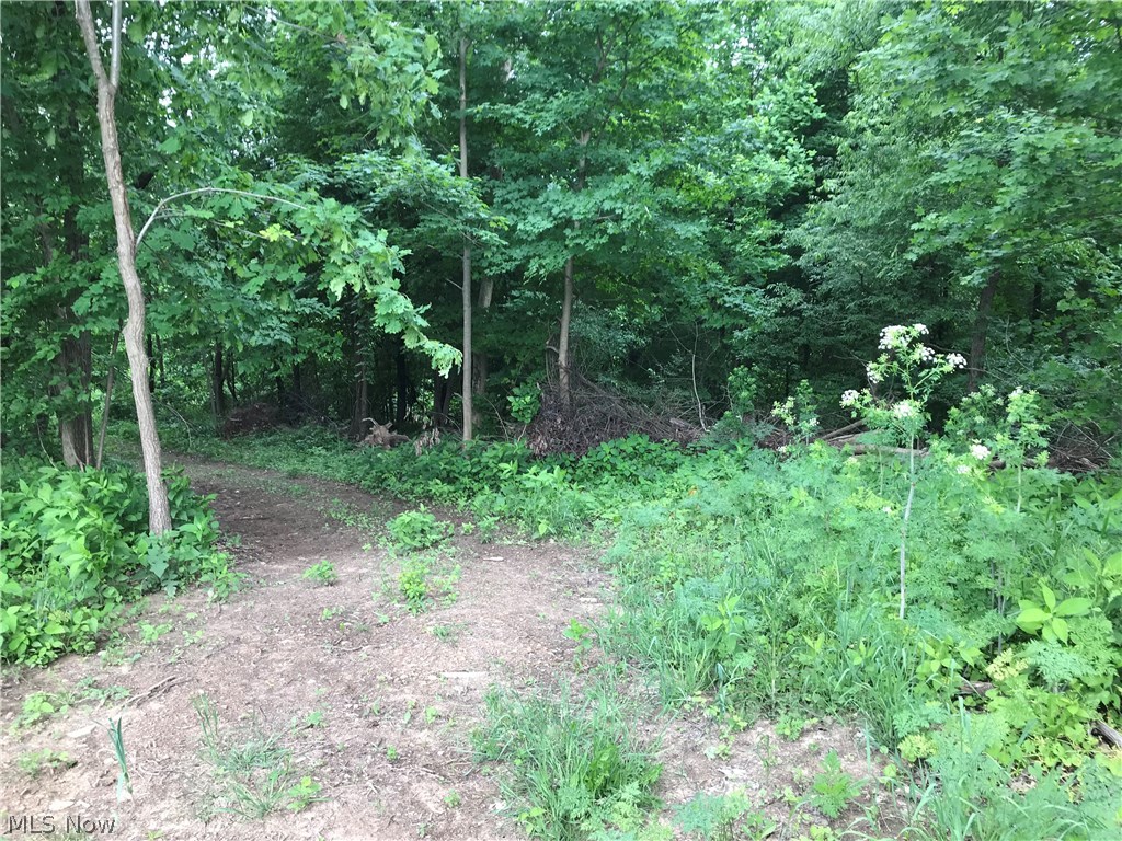 Lexington Springmill Road Mansfield, OH 44904 - Photo 1 of 23
