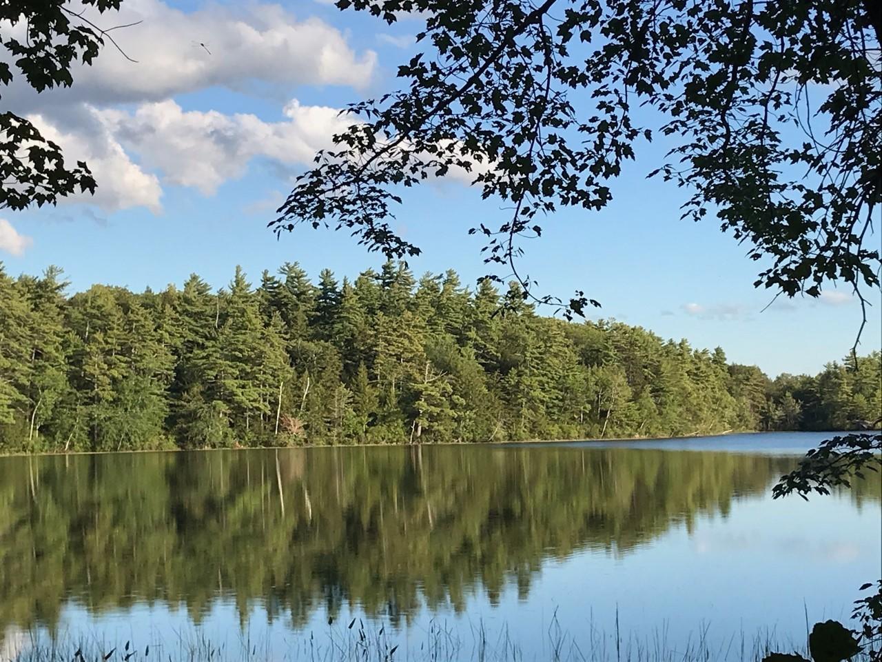 376 Halls Pond Road Paris, ME 04281 - Photo 26 of 26 Hall's Pond