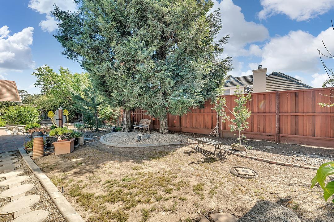 916 East Milgeo Avenue Ripon, CA 95366 - Photo 36 of 36 a view of a backyard with plants and patio