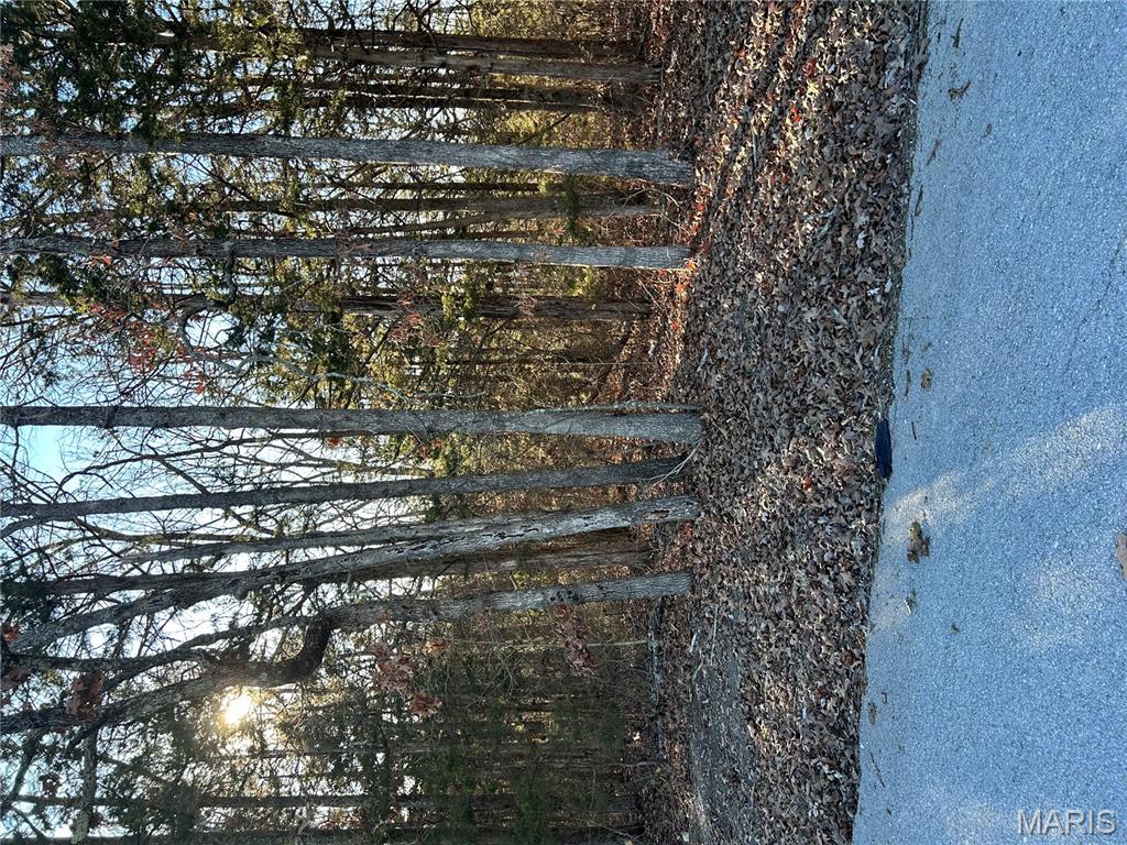 0 Deer Run Road Dittmer, MO 63023 - Photo 2 of 6