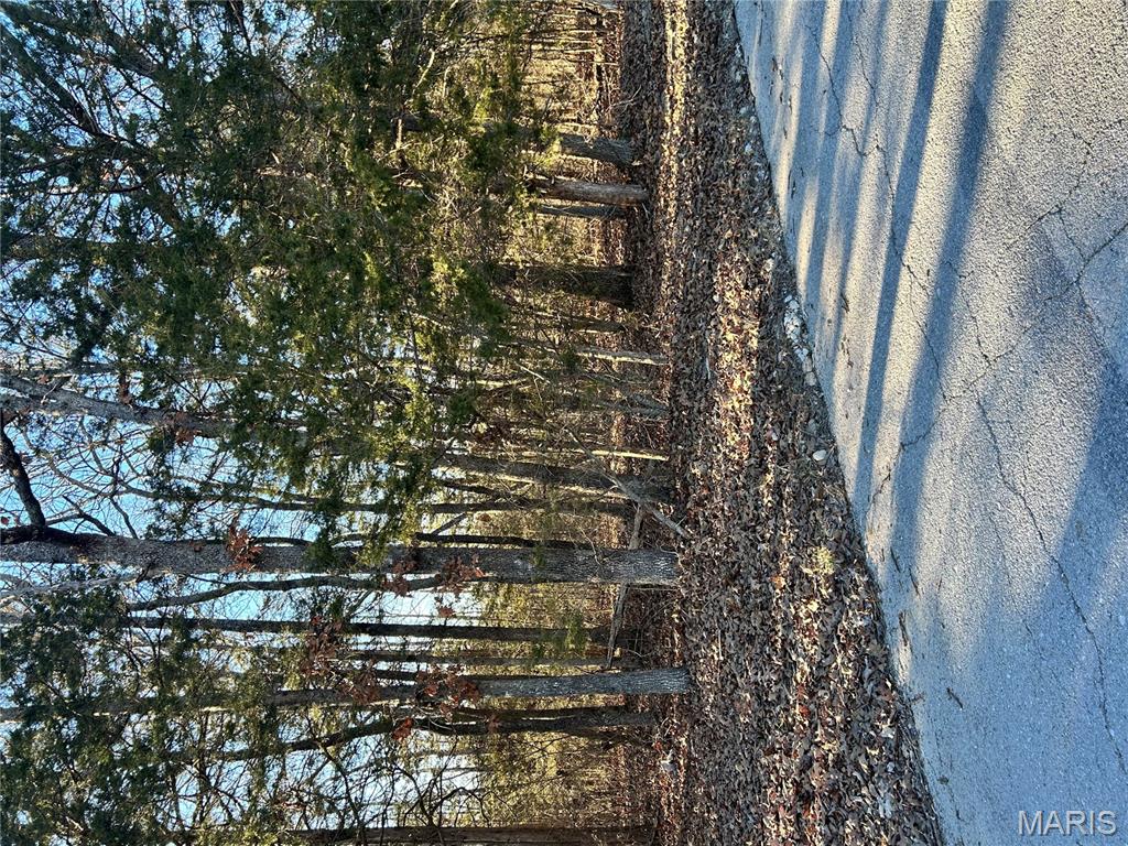 0 Deer Run Road Dittmer, MO 63023 - Photo 3 of 6