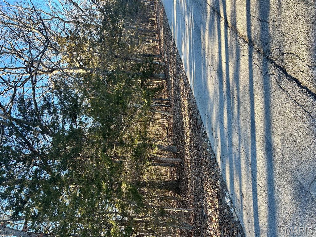 0 Deer Run Road Dittmer, MO 63023 - Photo 4 of 6