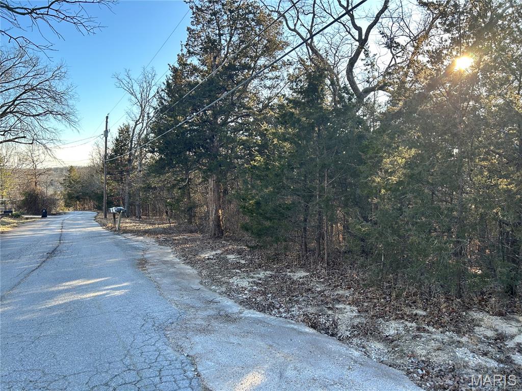 0 Deer Run Road Dittmer, MO 63023 - Photo 5 of 6