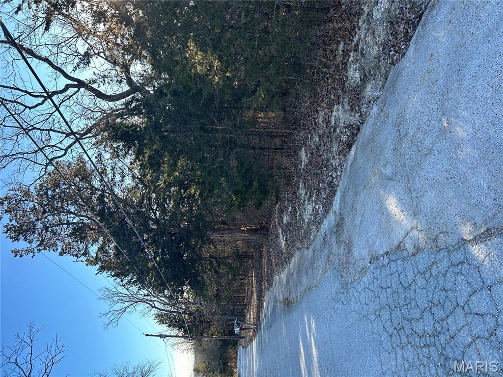 0 Deer Run Road Dittmer, MO 63023 - Photo 6 of 6