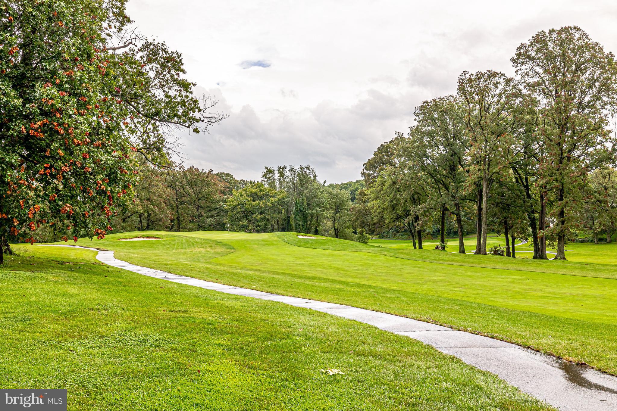 2039 Approach Lane Reston, VA 20191 - Photo 80 of 83 Gallery Image 80