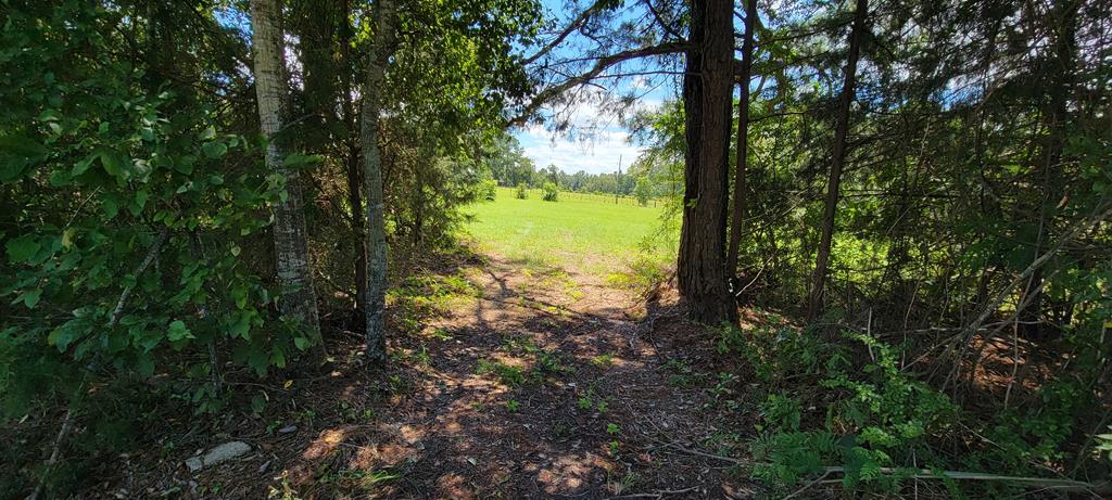 33 Rehobeth Al Dothan, AL 36303 - Photo 12 of 46