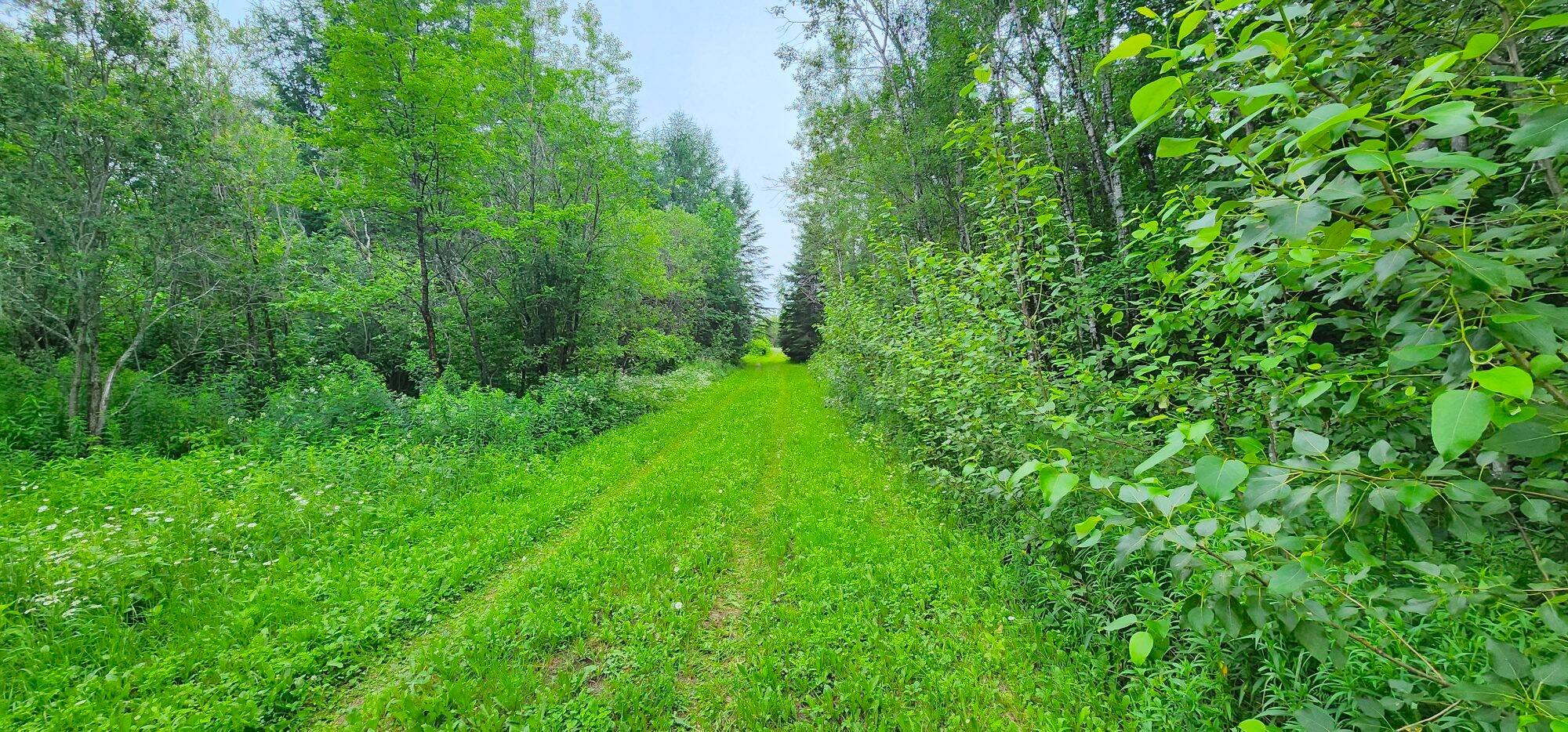405 New Dunn Town Road Washburn, ME 04786 - Photo 10 of 51 20230716_100014
