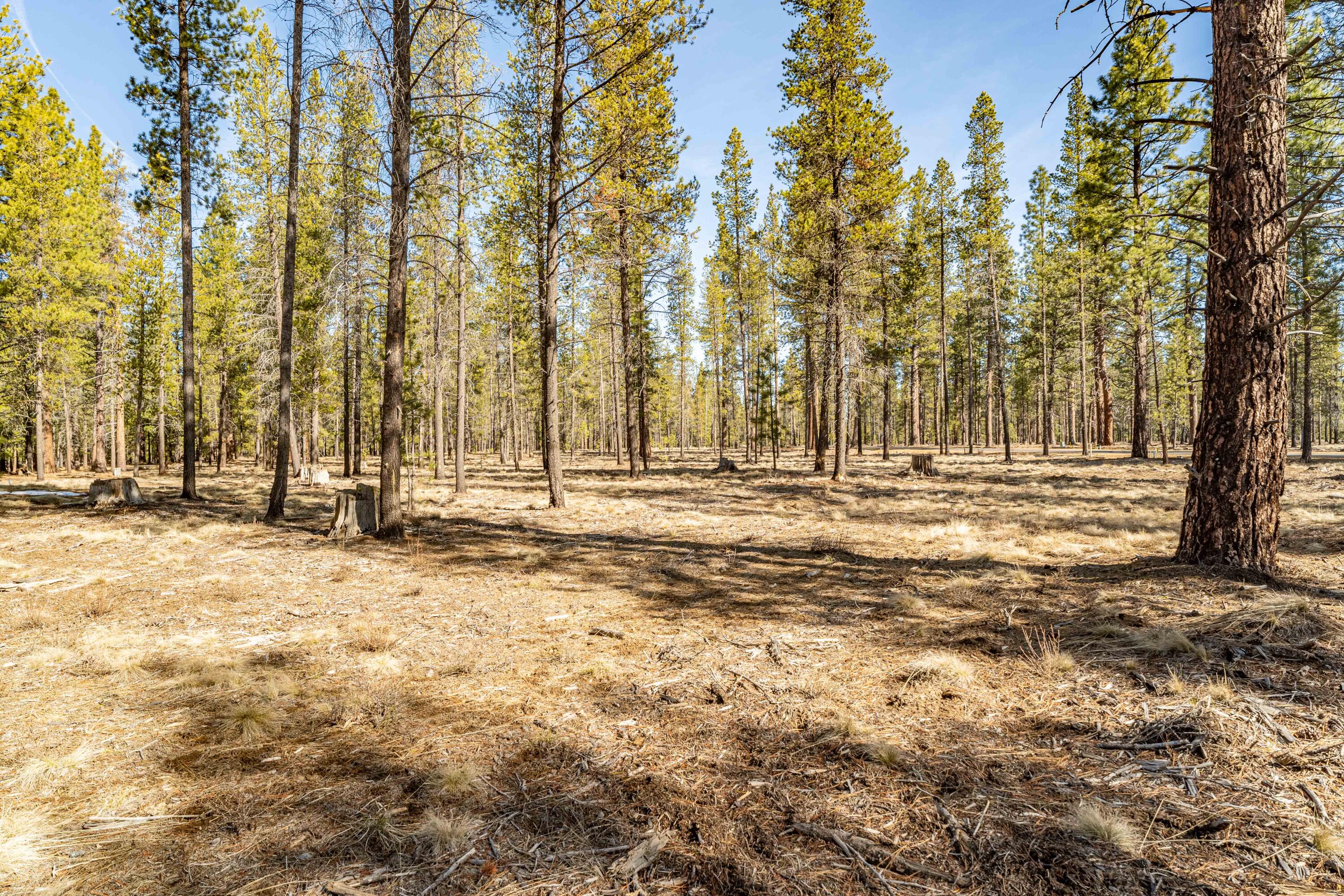 Preservation Loop Bend, Unit 461 Bend, OR 97707 - Photo 4 of 28 DSC07422-HDR