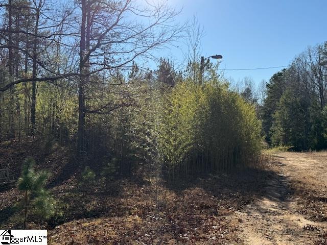 0 Deaton Lane Gray Court, SC 29645 - Photo 1 of 3