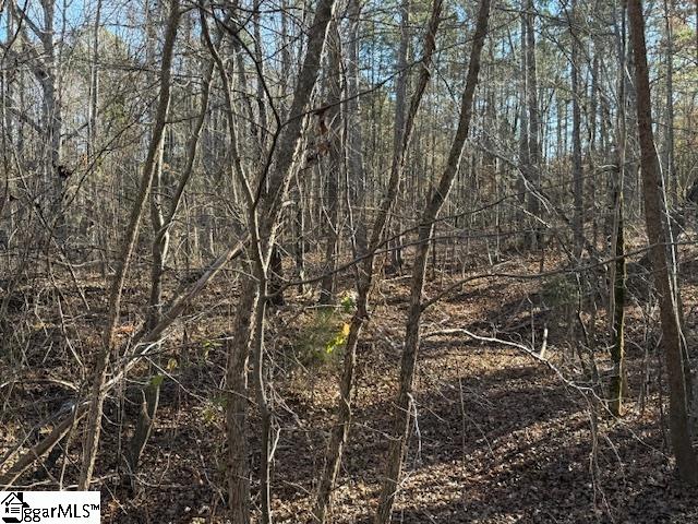 0 Deaton Lane Gray Court, SC 29645 - Photo 2 of 3