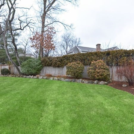 44 Chesterton Road Wellesley, MA 02481 - Photo 3 of 24 a view of a backyard with large trees