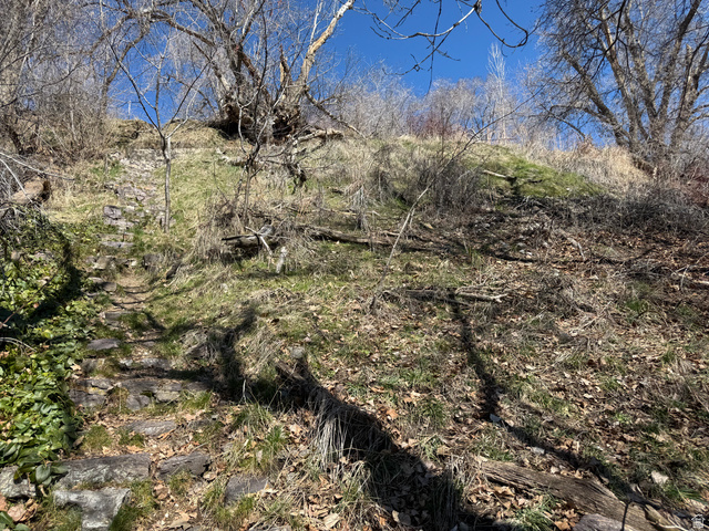 745 Canyon Road Providence, UT 84332 - Photo 8 of 19