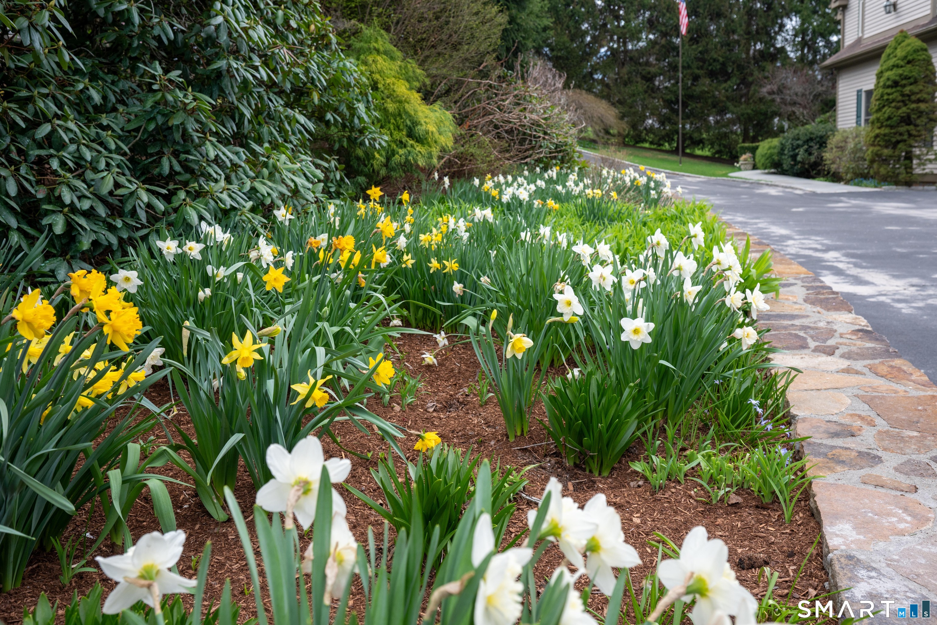 201 Grey Rock Road Southbury, CT 06488 - Photo 3 of 40 Stone walls and perennials line driveway.