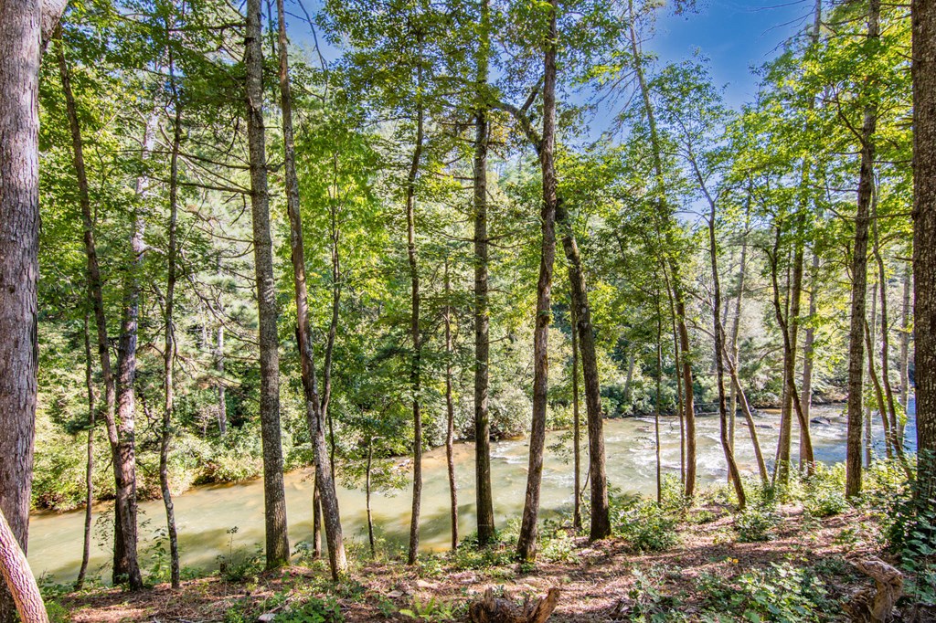 Lot 104 High River Road Ellijay, GA 30540 - Photo 14 of 28 Gallery Image 14