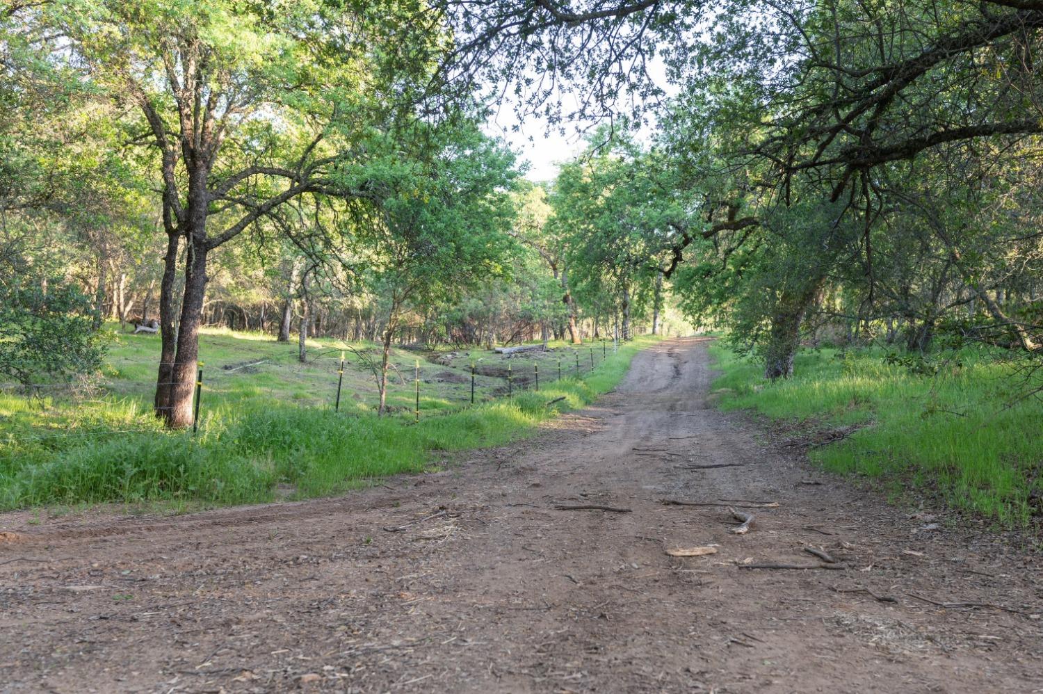 1940 Dorado Ridge Trail Rescue, CA 95672 - Photo 11 of 24 a view of a park with large trees