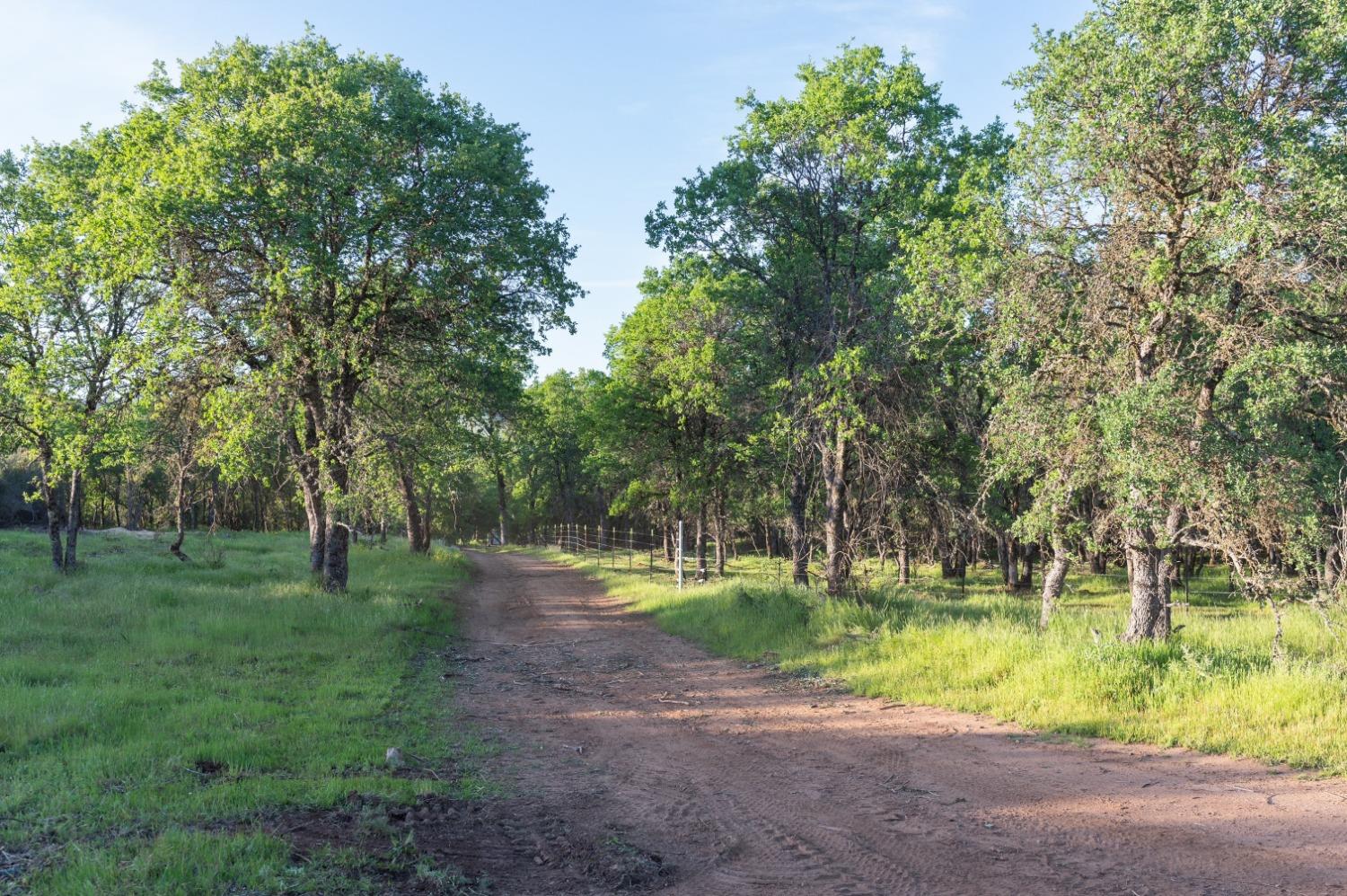 1940 Dorado Ridge Trail Rescue, CA 95672 - Photo 14 of 24 a view of a park with large trees