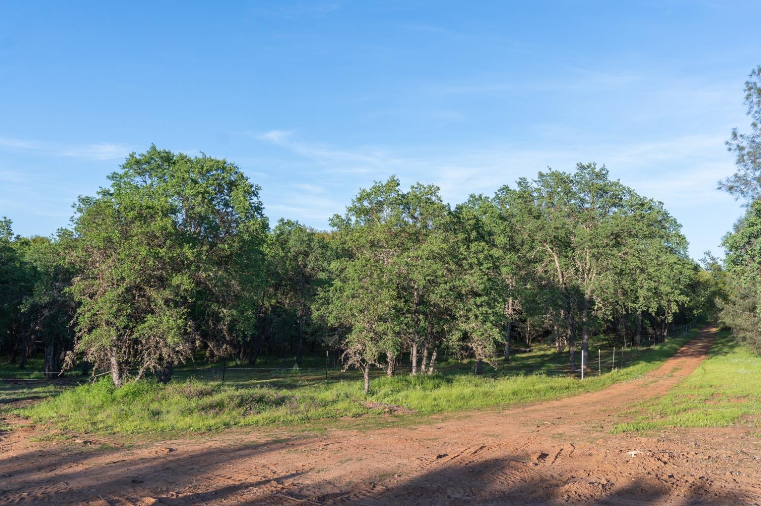 1940 Dorado Ridge Trail Rescue, CA 95672 - Photo 15 of 24 a view of a park