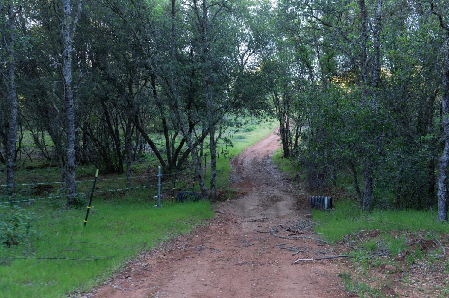 1940 Dorado Ridge Trail Rescue, CA 95672 - Photo 16 of 24 a view of a park