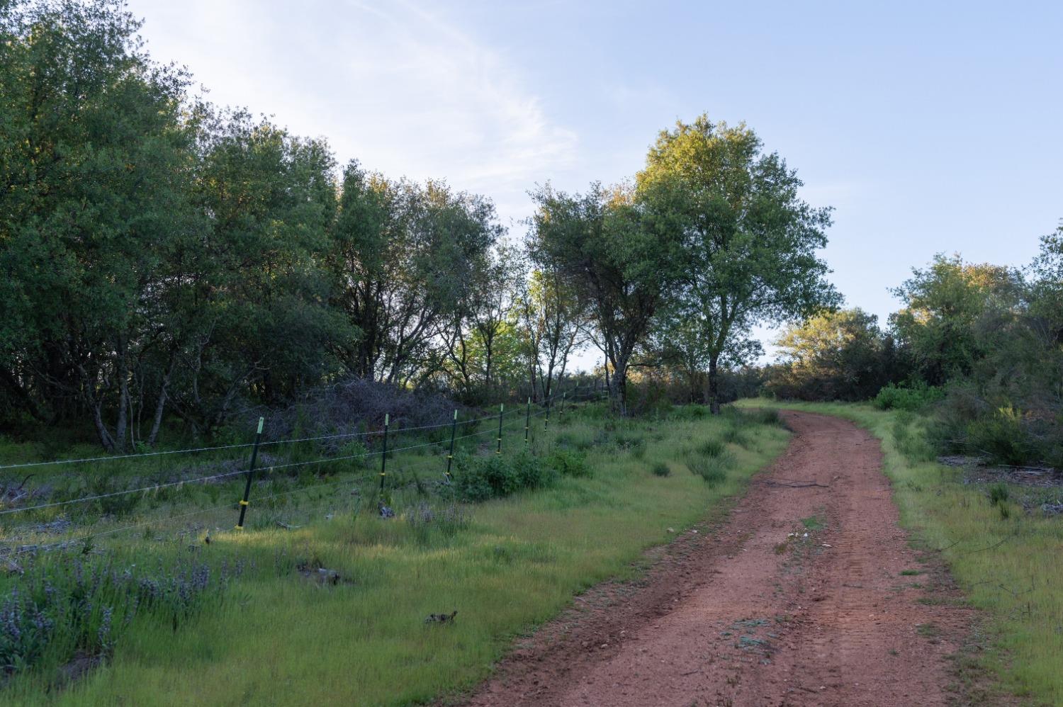 1940 Dorado Ridge Trail Rescue, CA 95672 - Photo 17 of 24 a view of outdoor space and yard