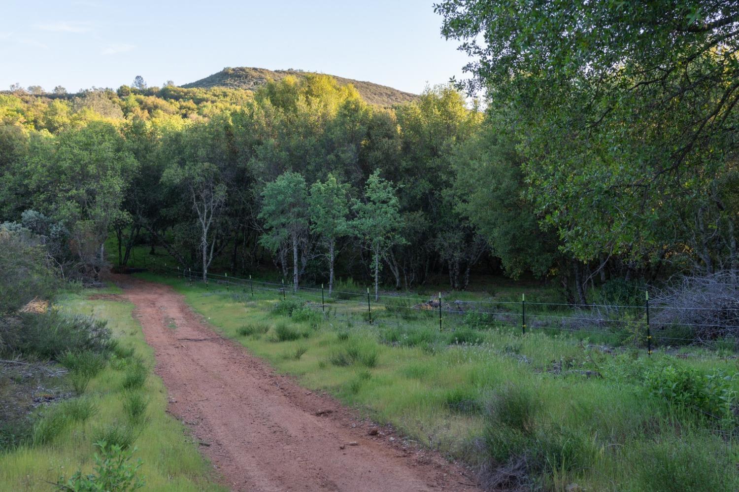 1940 Dorado Ridge Trail Rescue, CA 95672 - Photo 18 of 24 a view of outdoor space and yard