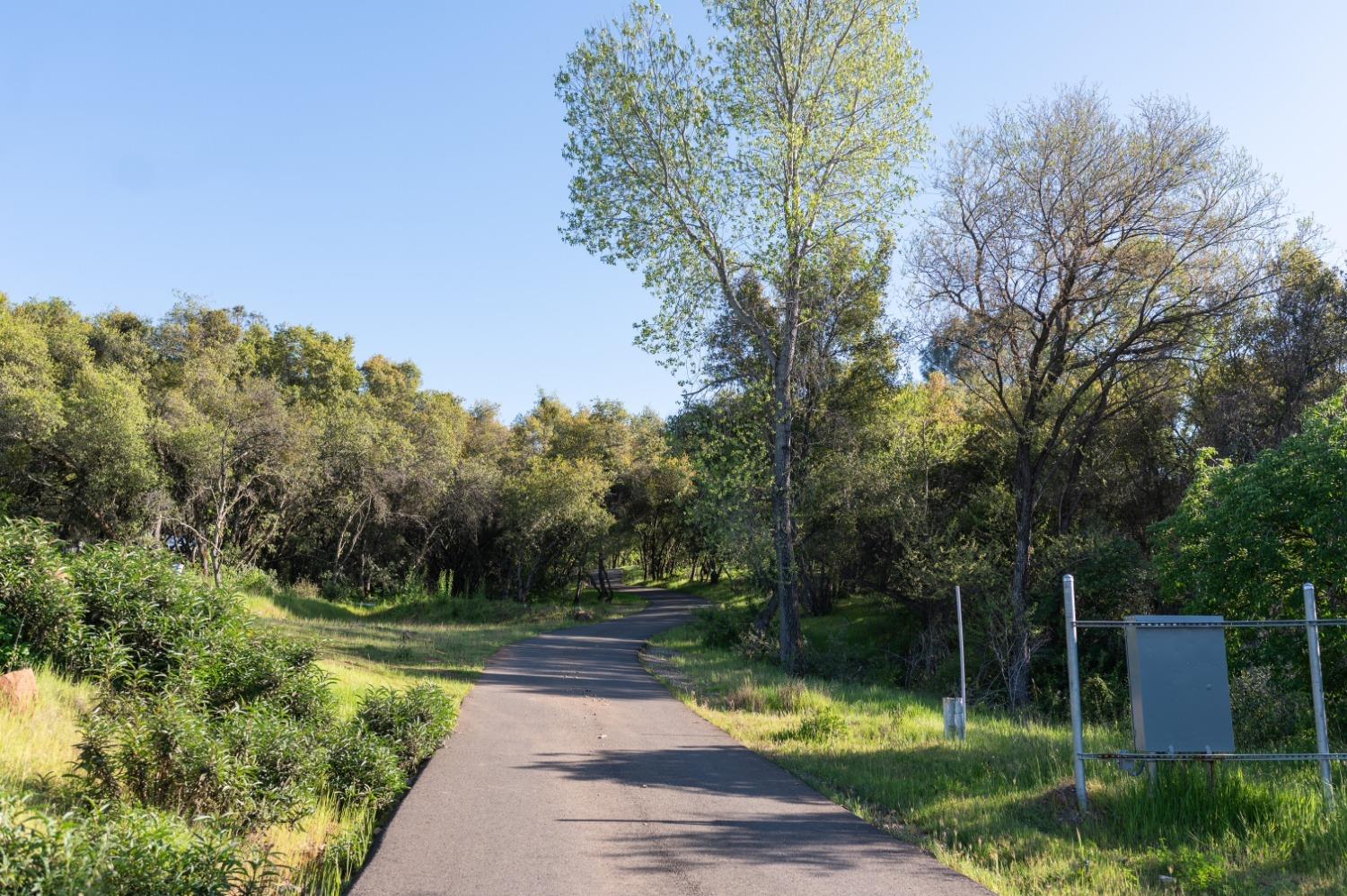 1940 Dorado Ridge Trail Rescue, CA 95672 - Photo 2 of 24 a view of swimming pool from a garden