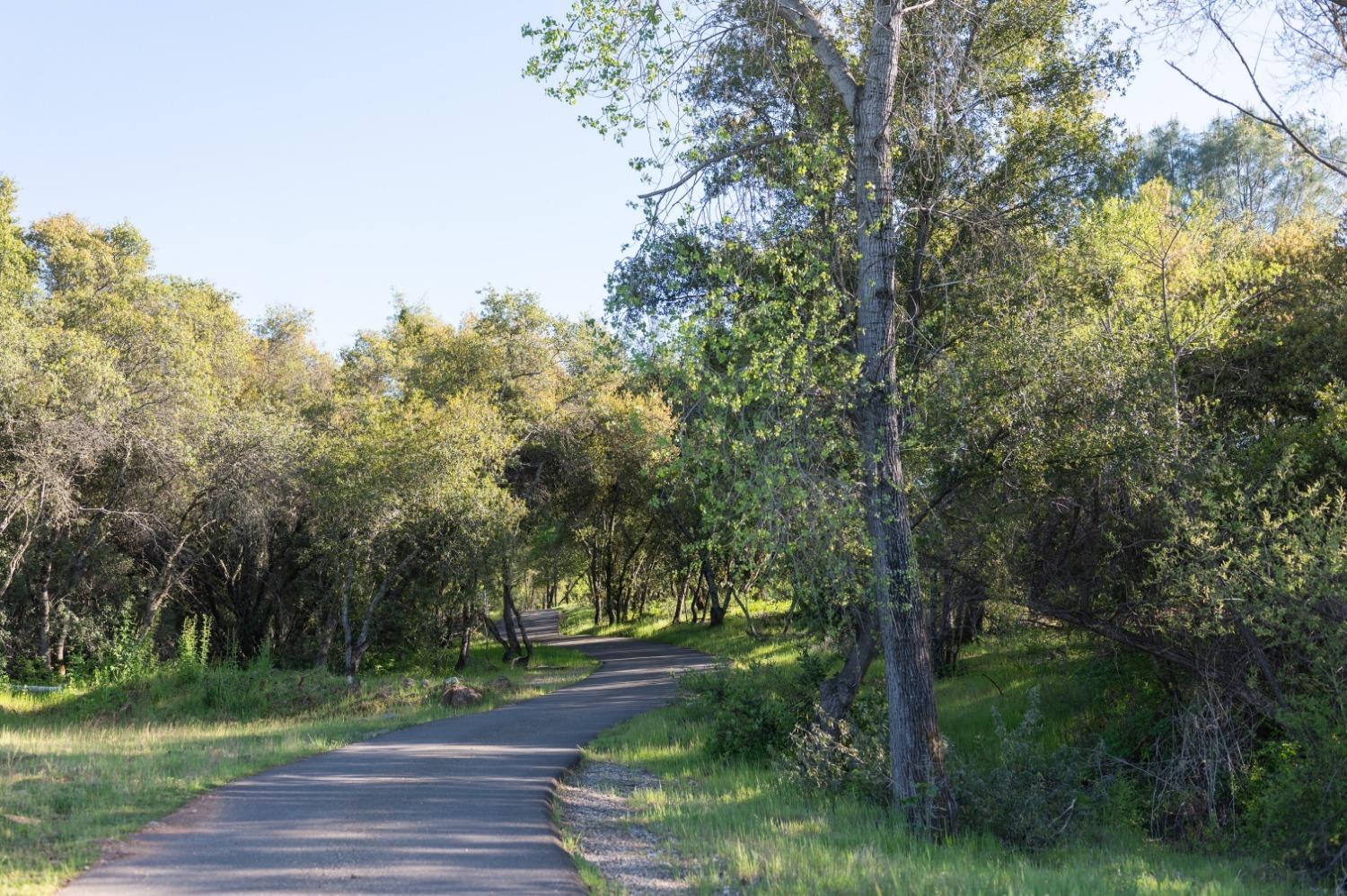 1940 Dorado Ridge Trail Rescue, CA 95672 - Photo 4 of 24