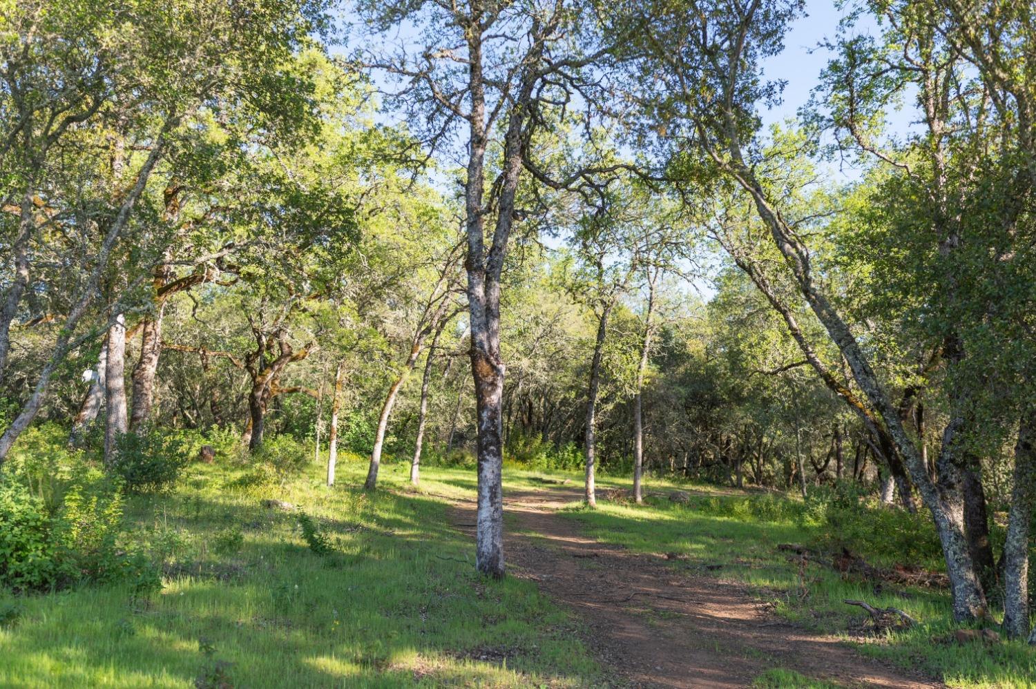 1940 Dorado Ridge Trail Rescue, CA 95672 - Photo 5 of 24 a view of a park