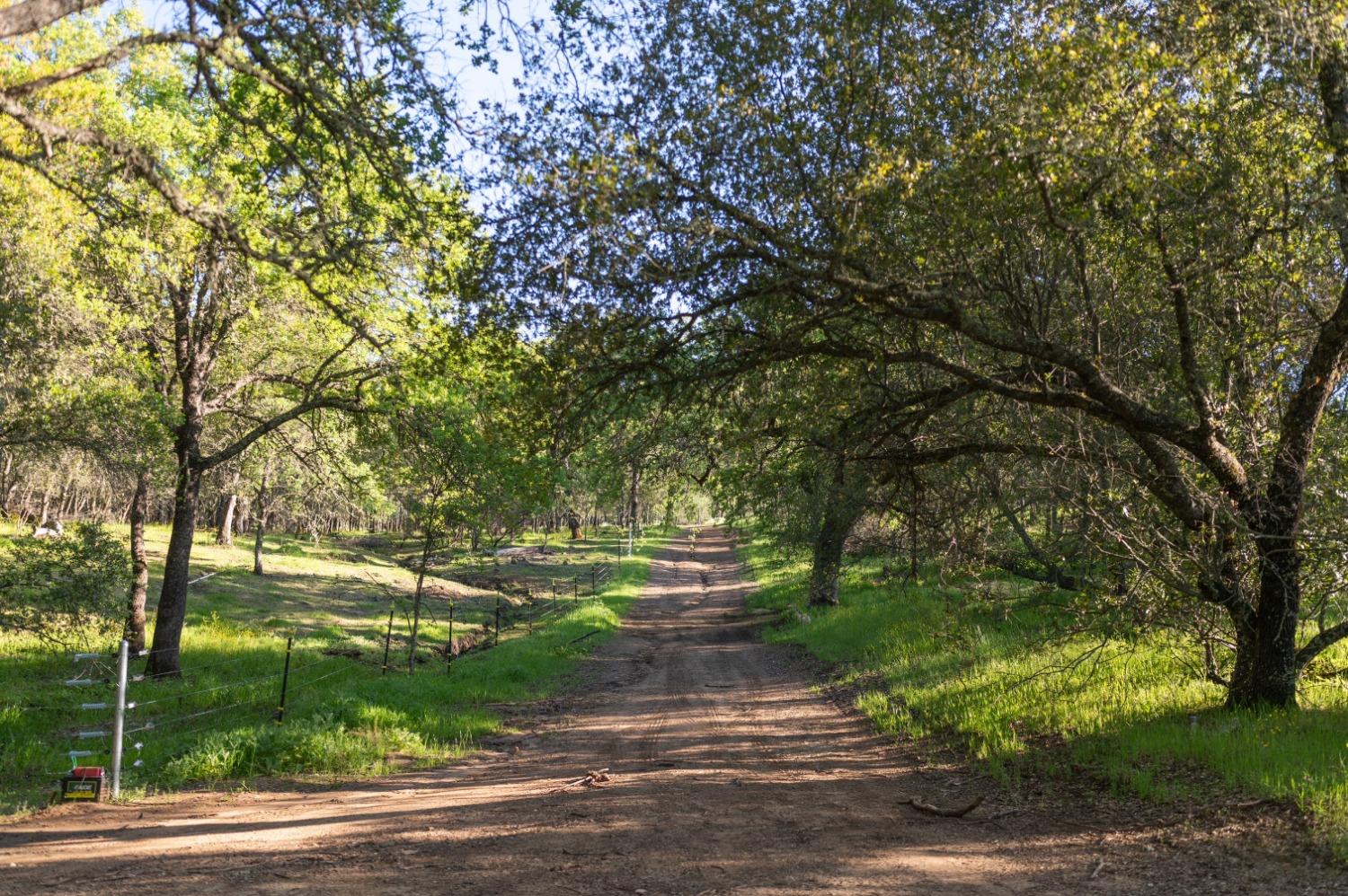 1940 Dorado Ridge Trail Rescue, CA 95672 - Photo 7 of 24 a front view of a house with a yard
