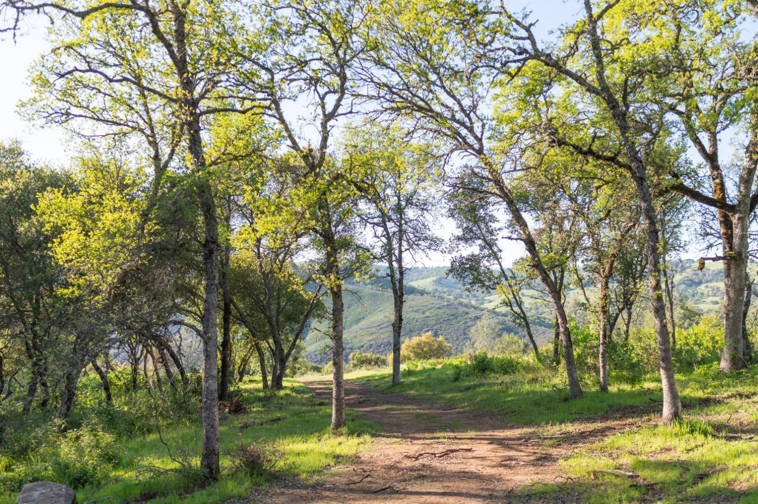 1940 Dorado Ridge Trail Rescue, CA 95672 - Photo 10 of 24 a view of a park