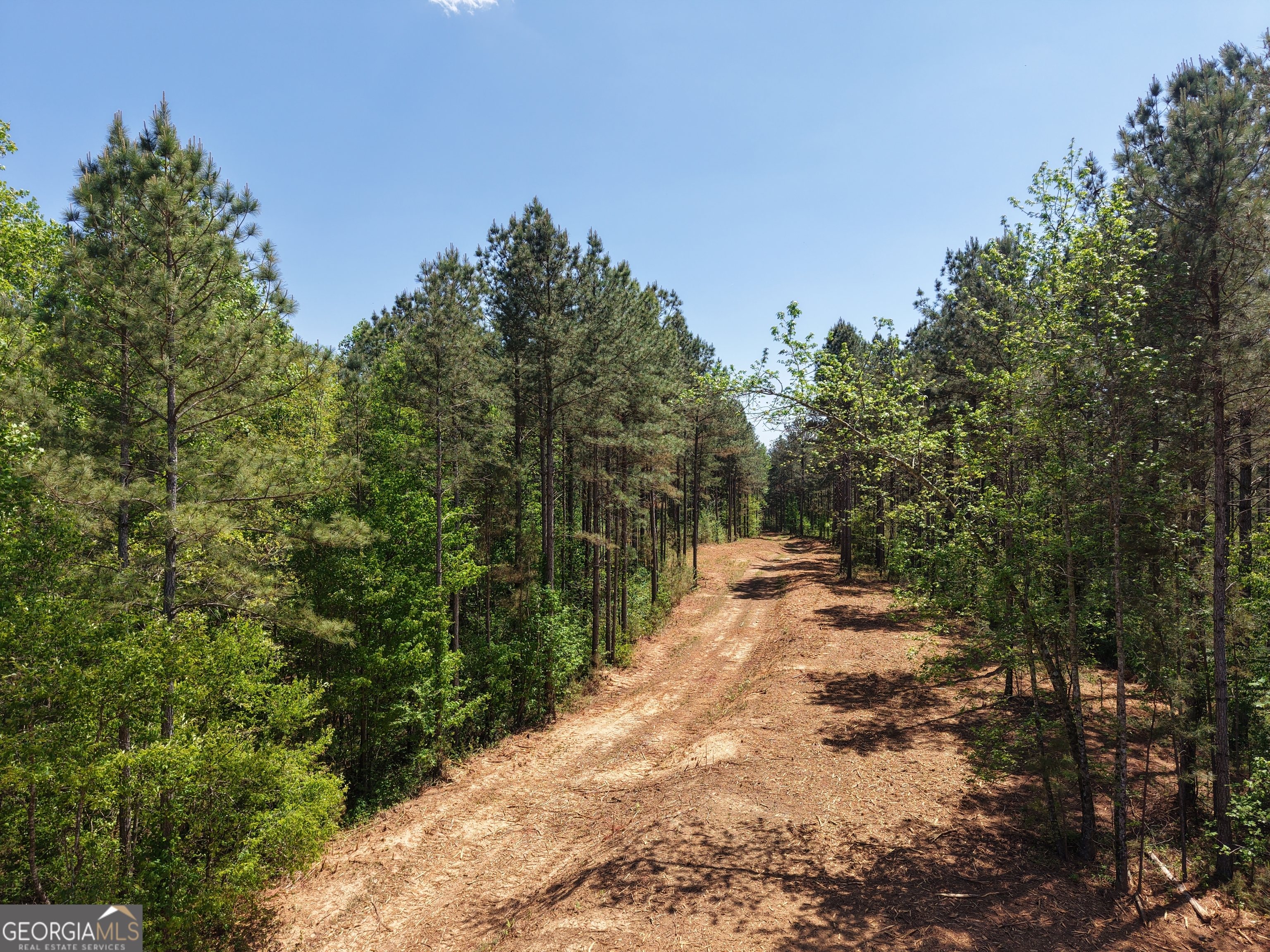 0 Ryo Mountain Road, Unit 9609 Fairmount, GA 30139 - Photo 19 of 87 Gallery Image 19