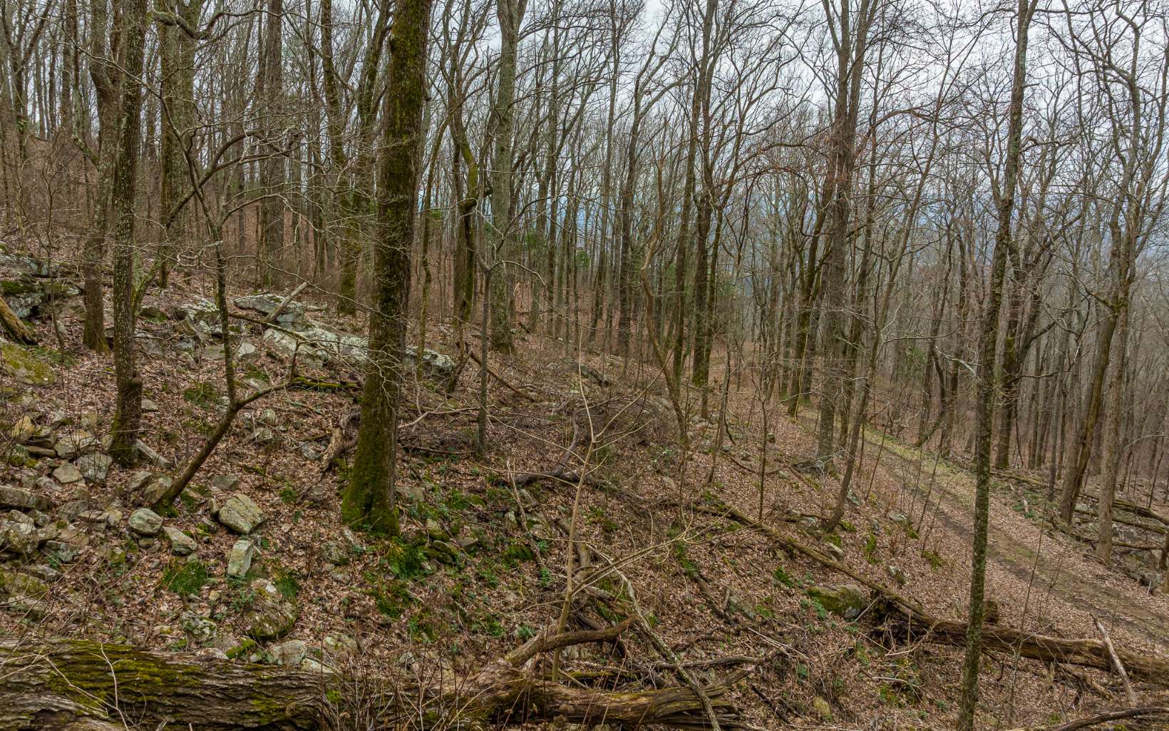 Additional View