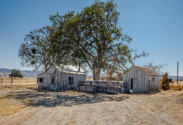 a view of a backyard with large trees