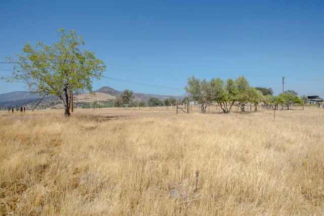 a view of an ocean with trees
