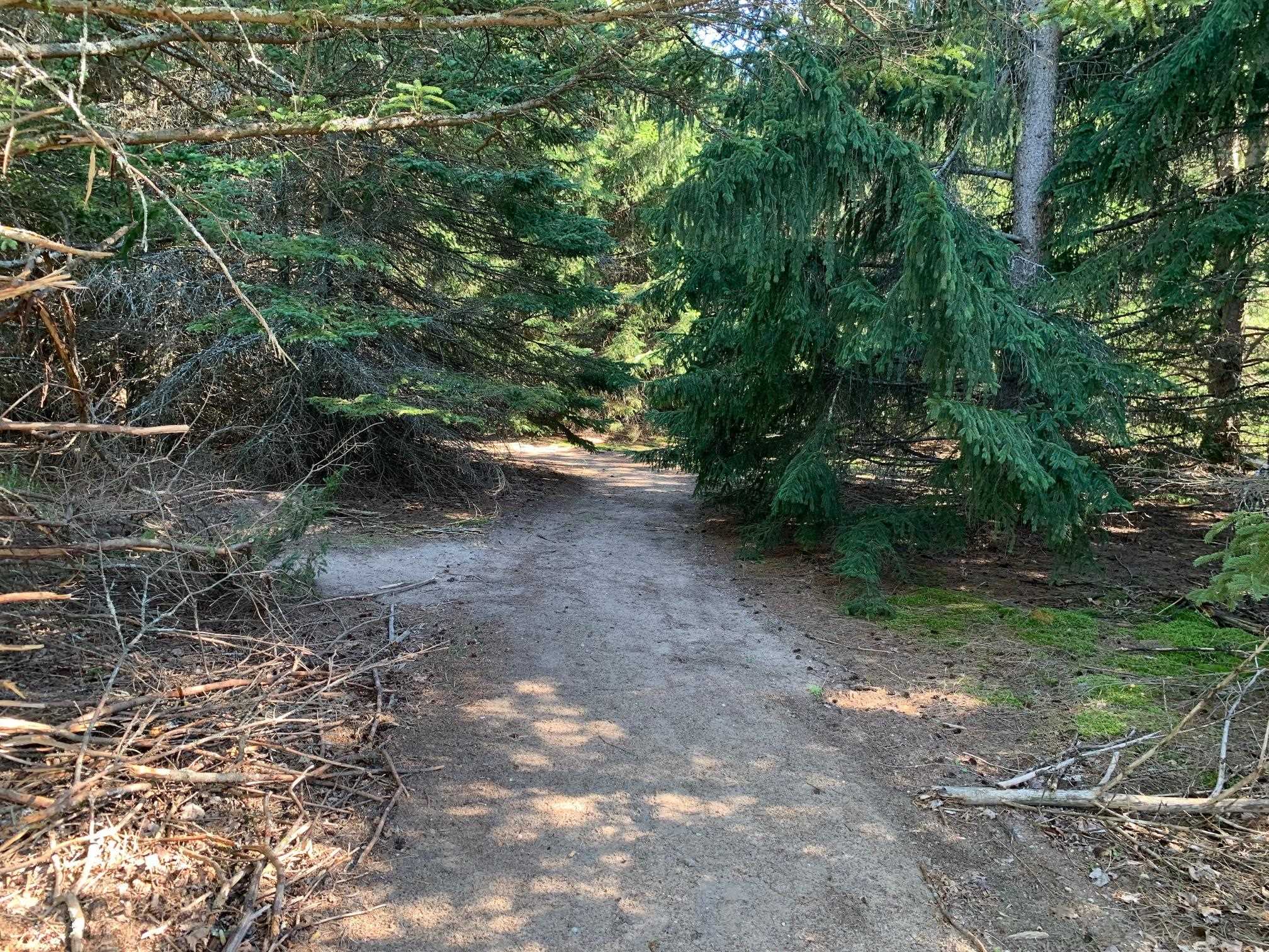 0 South Maple City Road Traverse City, MI 49684 - Photo 8 of 22