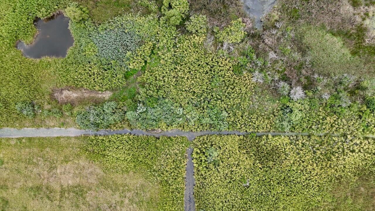 0 South Santiago Road Turner, MI 48765 - Photo 10 of 41 Gallery Image 10