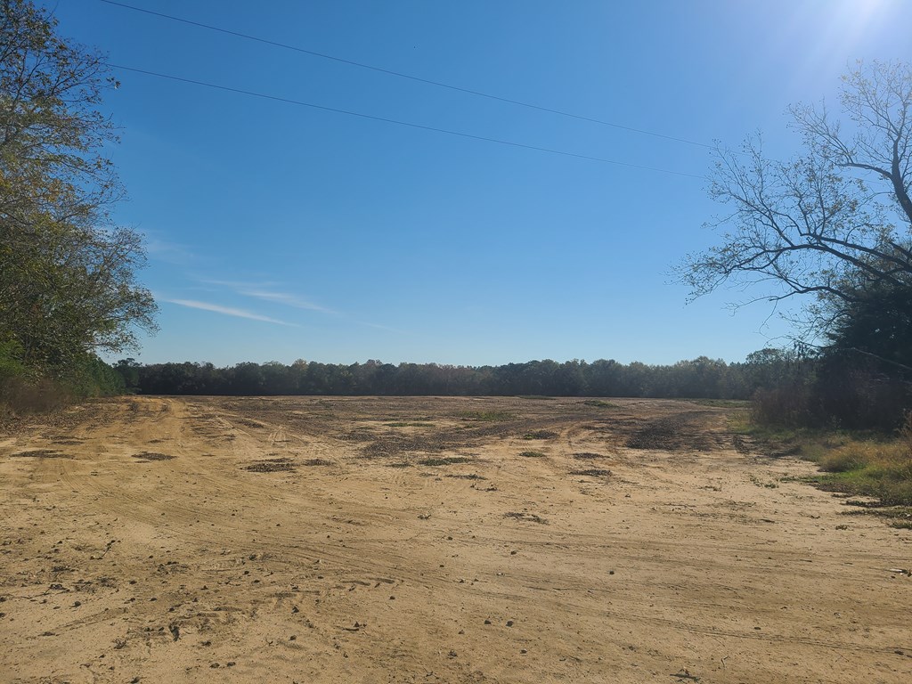 429 Summer Road Slocomb, AL 36375 - Photo 4 of 8