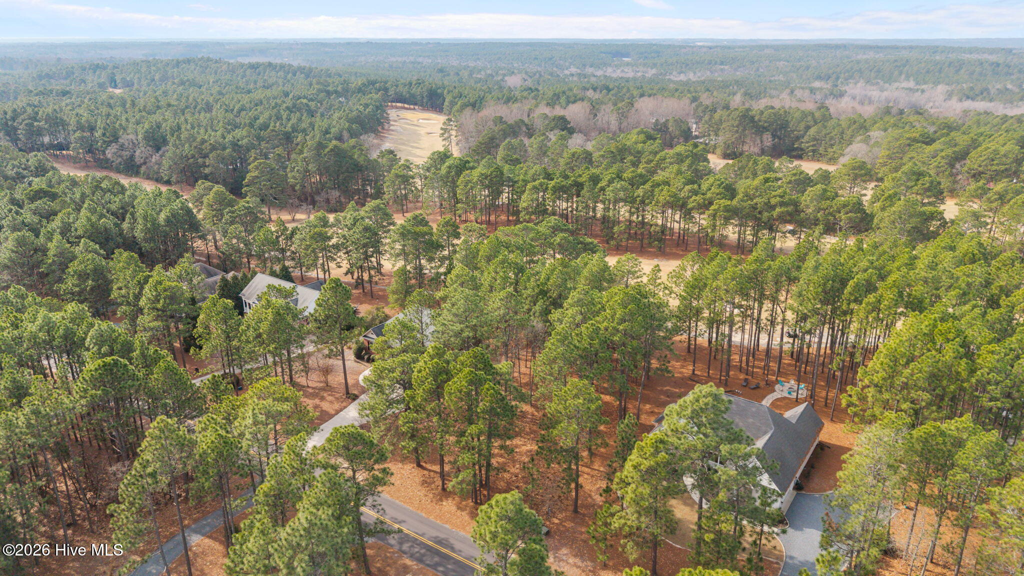 248 Longleaf Drive West End, NC 27376 - Photo 13 of 63 12-web-or-mls-DJI_20260108115213_0179_D