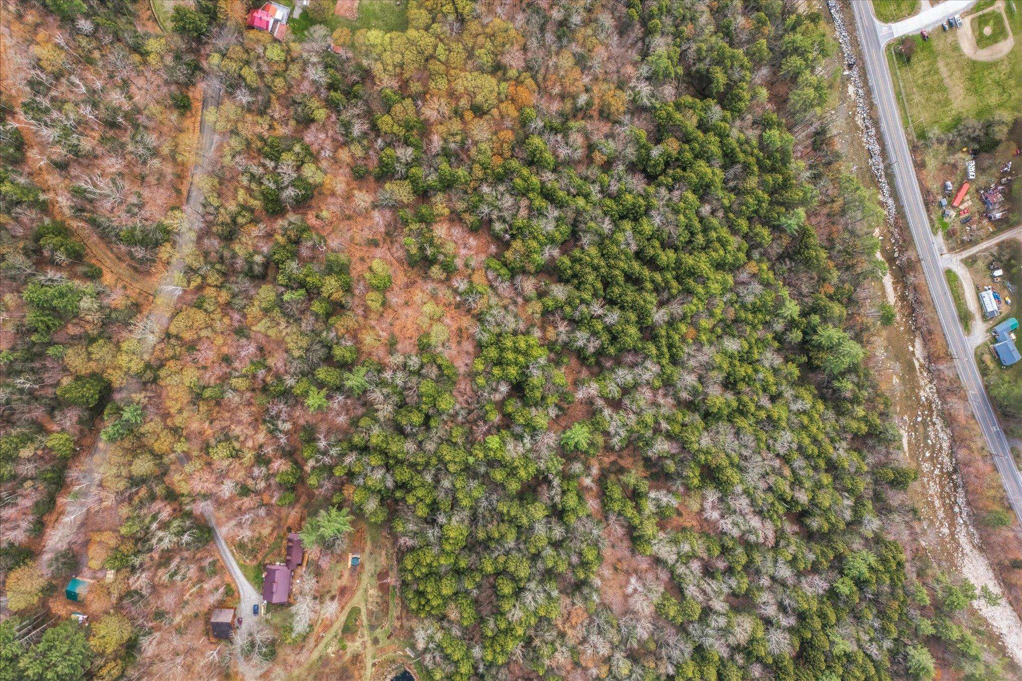 0 East Hill Road Townshend, VT 05353 - Photo 5 of 19