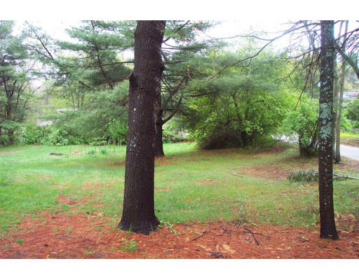 8 Skinners Road Groton, MA 01450 - Photo 19 of 21 a view of a trees with yard