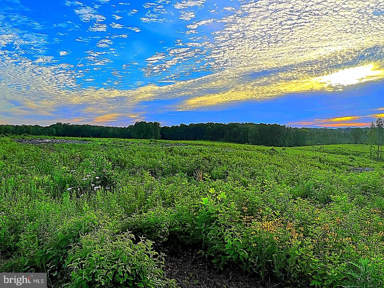 Dragoon Road Lignum, VA 22726 - Photo 2 of 4