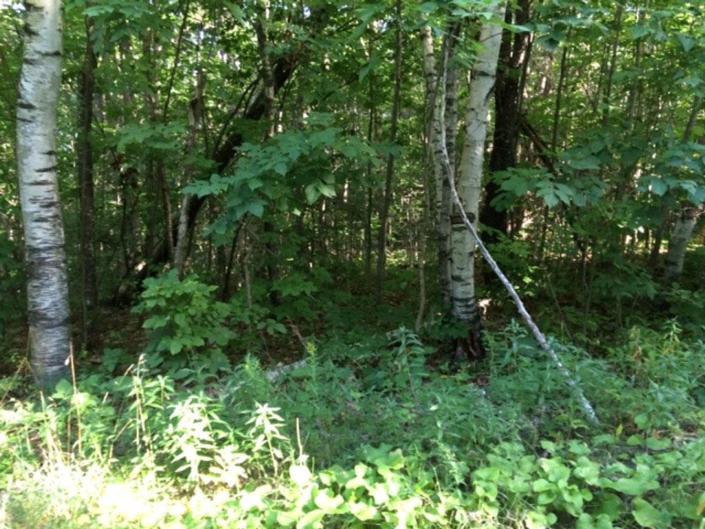 1185 Union Village Road Norwich, VT 05055 - Photo 1 of 1