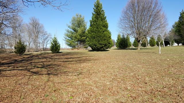12 Stephenson Road Summertown, TN 38483 - Photo 9 of 30 12 Stephenson Rd, Summertown Tn