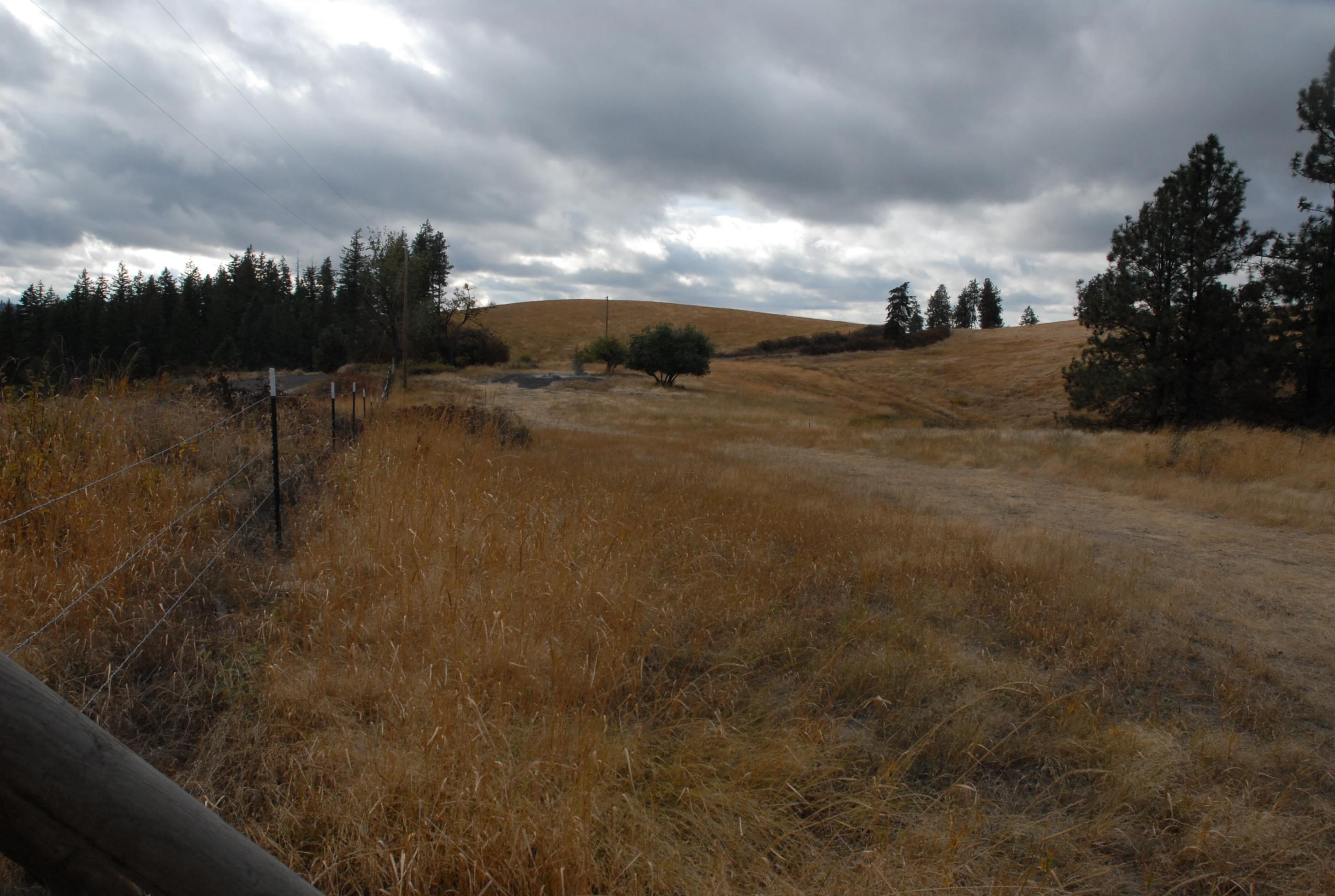 13507 East Tallman Road Chattaroy, WA 99003 - Photo 1 of 14 Gallery Image 1