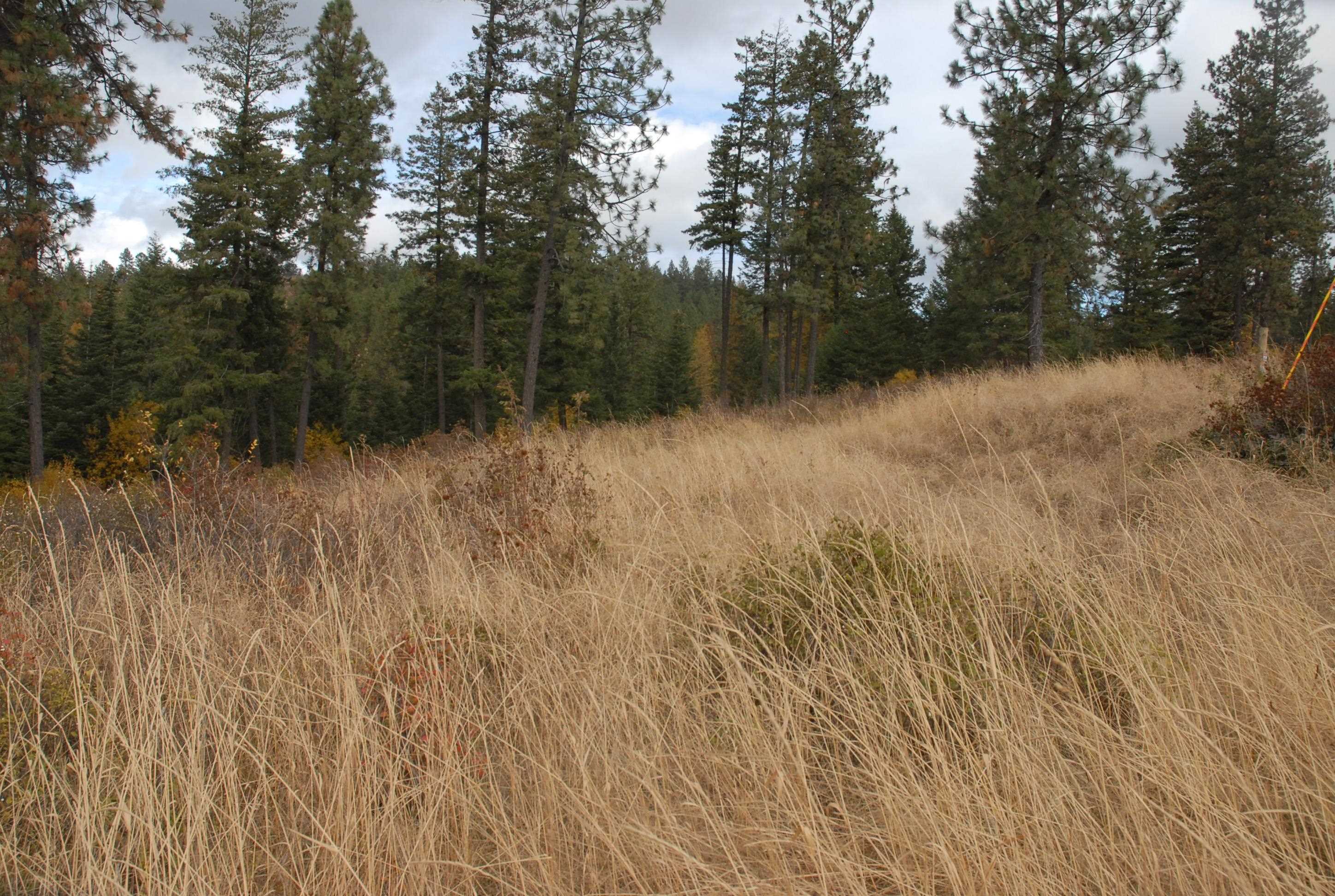 13507 East Tallman Road Chattaroy, WA 99003 - Photo 12 of 14 Gallery Image 12