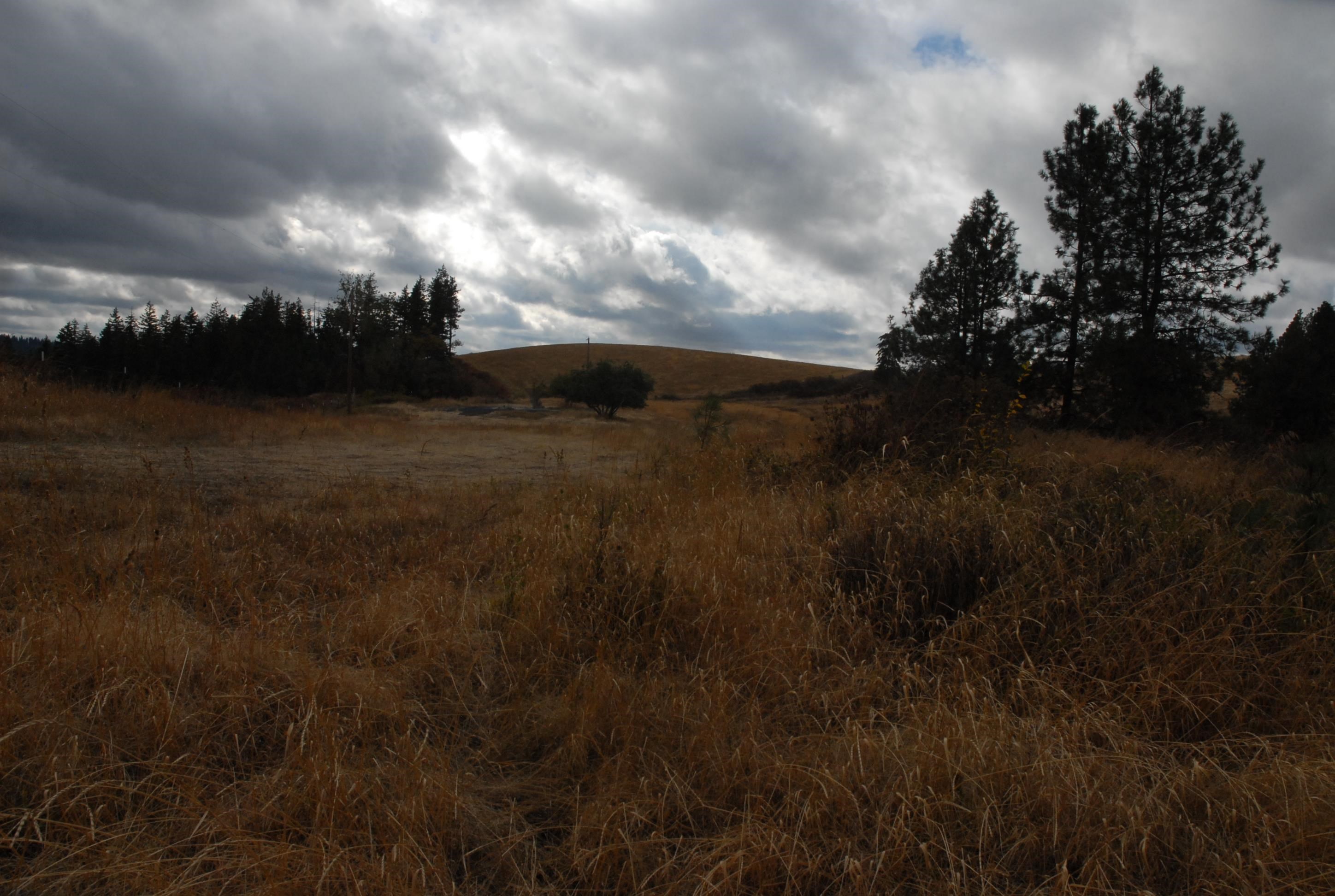 13507 East Tallman Road Chattaroy, WA 99003 - Photo 13 of 14 Gallery Image 13
