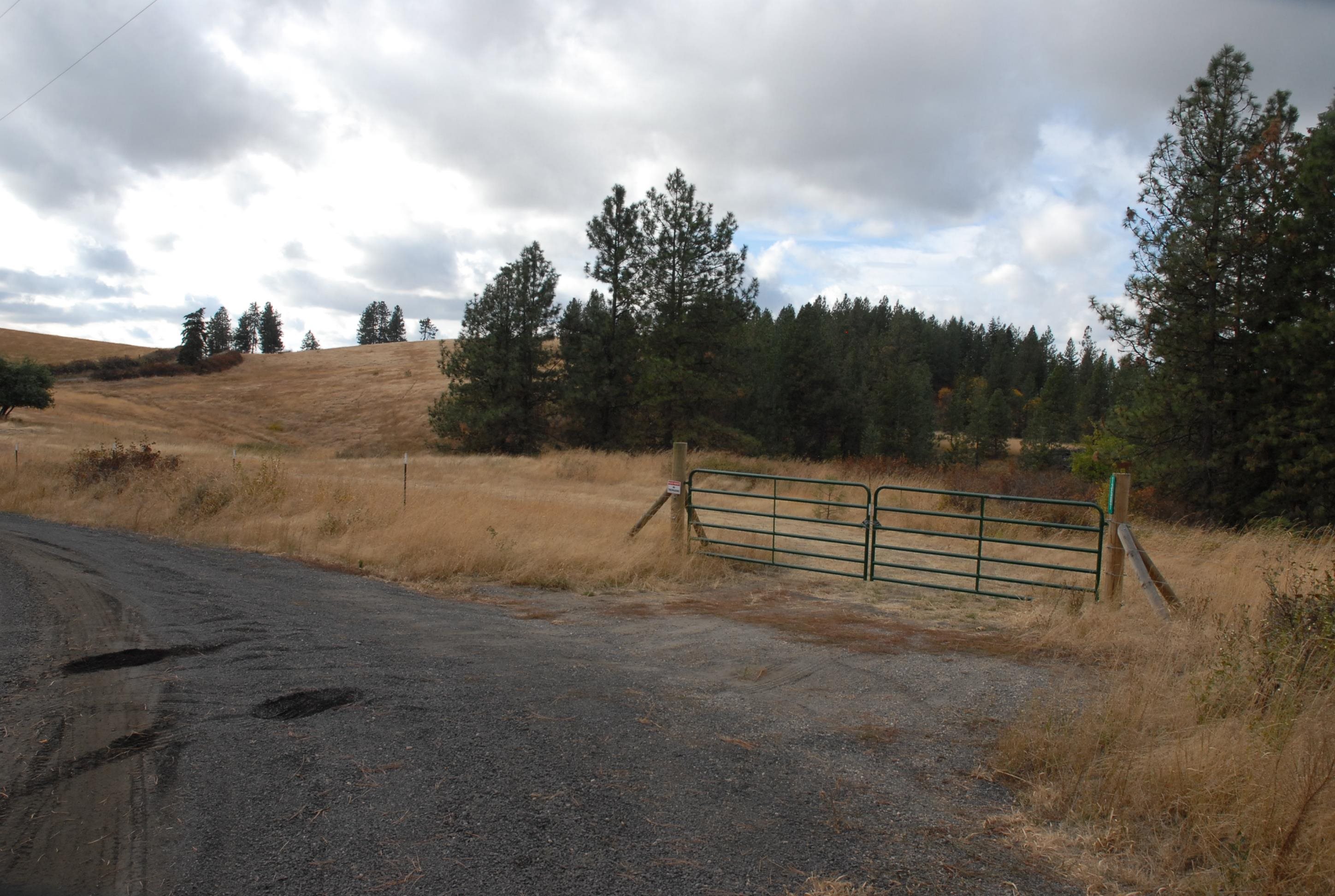 13507 East Tallman Road Chattaroy, WA 99003 - Photo 14 of 14 Gallery Image 14