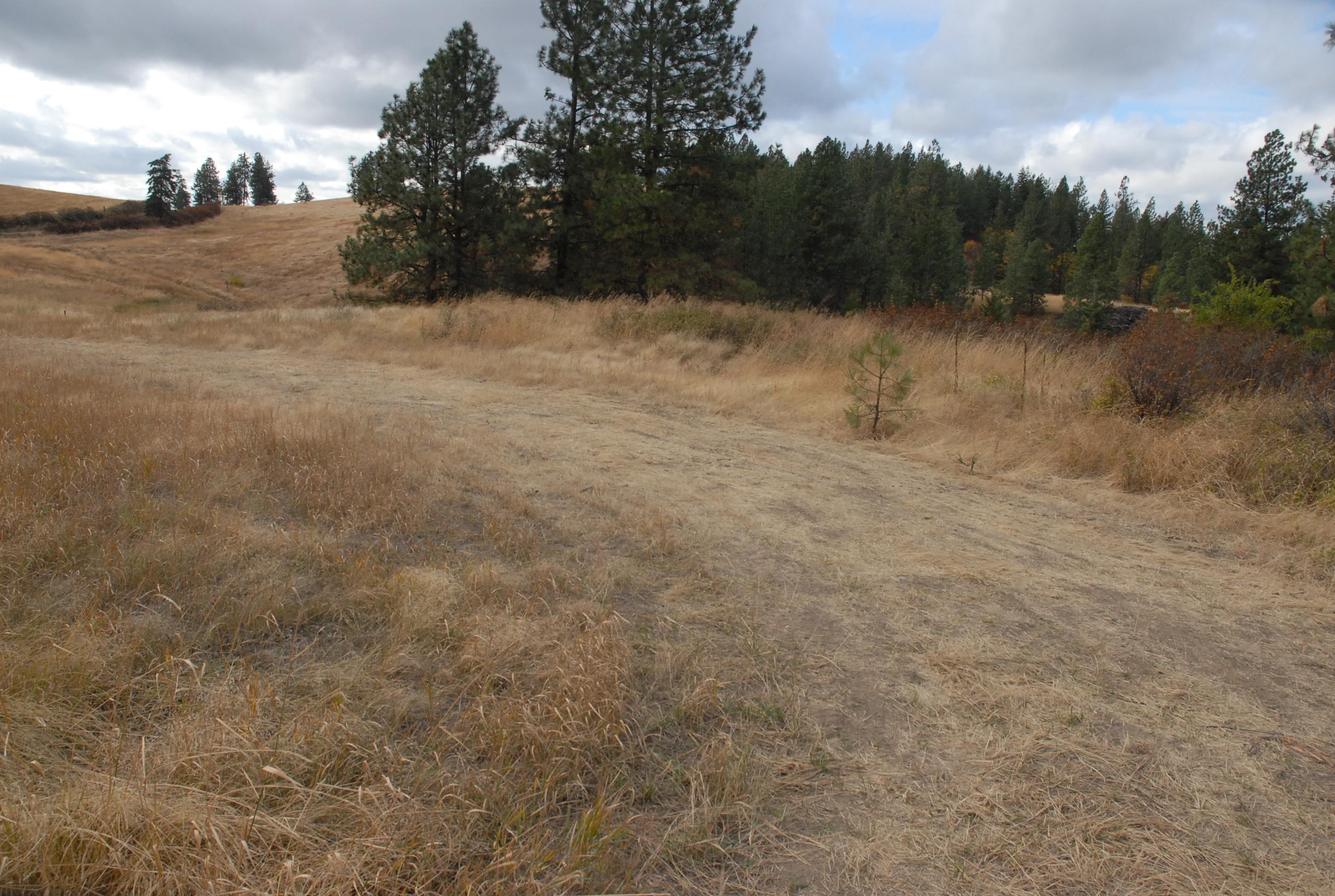 13507 East Tallman Road Chattaroy, WA 99003 - Photo 2 of 14 Gallery Image 2